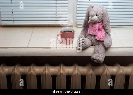 Kaffeetasse und Kuscheltier auf Fensterbank über dem Heizkörper Stockfoto