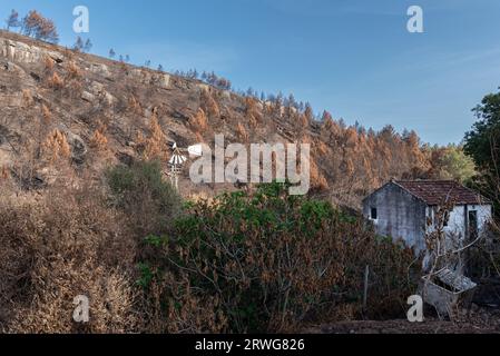 Eine alte stillgelegte Windmühlenpumpe und ein Nebengebäude stehen auf einem Hügel, der während der Dürre im Juli 2023 in Sintra Cascais Natural PA von einem Lauffeuer verwüstet wurde Stockfoto