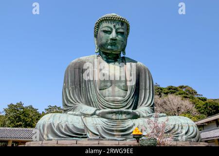 Großer Buddha (Daibutsu) auf dem Gelände des Kotokuin-Tempels in Kamakura, Japan Stockfoto