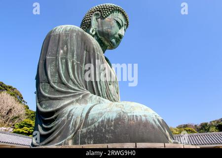 Großer Buddha (Daibutsu) auf dem Gelände des Kotokuin-Tempels in Kamakura, Japan Stockfoto