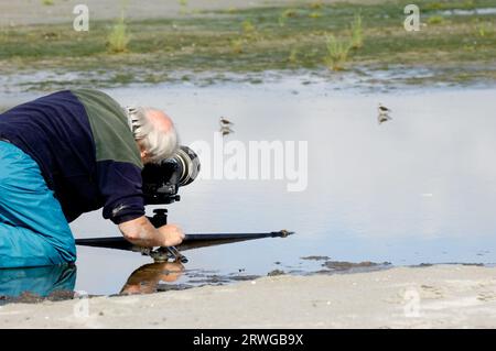 Professioneller Fotograf mit einer großen Digitalkamera Stockfoto