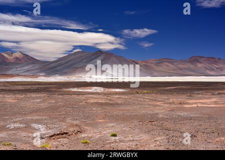 Laguna y Salar de Talar. Salar de Atacama, Antofagasta, Chile. Stockfoto