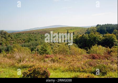 Cavan Burren Park, Geopark, Blacklion, Co Cavan, Irland, Stockfoto