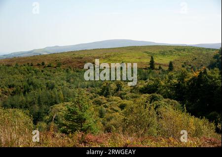 Cavan Burren Park, Geopark, Blacklion, Co Cavan, Irland, Stockfoto