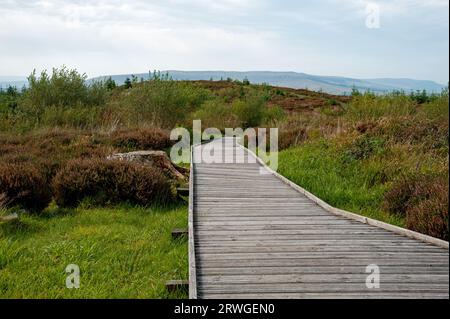 Cavan Burren Park, Geopark, Blacklion, Co Cavan, Irland, Stockfoto