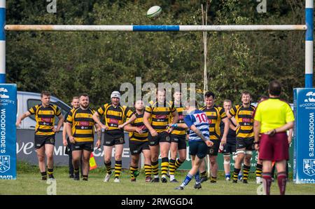 Englische Herren Amateurspieler der Rugby Union spielen in einem Ligaspiel. Stockfoto