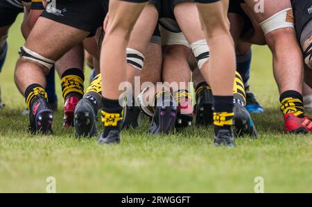 Englische Herren Amateurspieler der Rugby Union spielen in einem Ligaspiel. Stockfoto