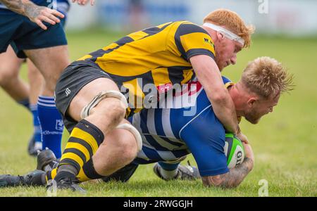 Englische Herren Amateurspieler der Rugby Union spielen in einem Ligaspiel. Stockfoto