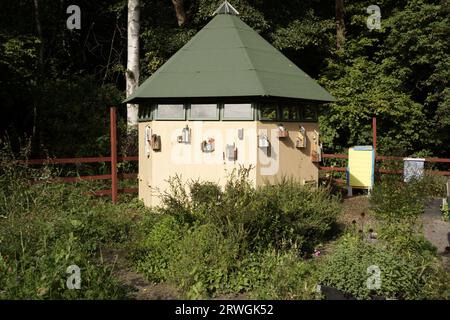 Insektenhotel. Holzstruktur mit natürlichem Material gefüllt bereit, Insekten willkommen Stockfoto