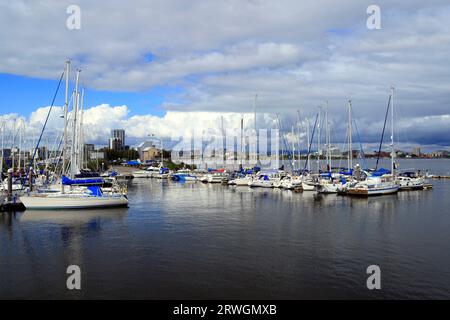 Yachten, die an der Mündung von River Ely, Cardiff Yacht Club, Cardiff Bay, Cardiff, South Wales anlegten. Stockfoto