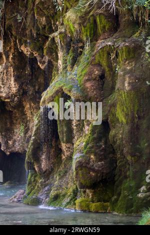 Nacimiento del Río Cuervo, Vega del Codorno Stockfoto