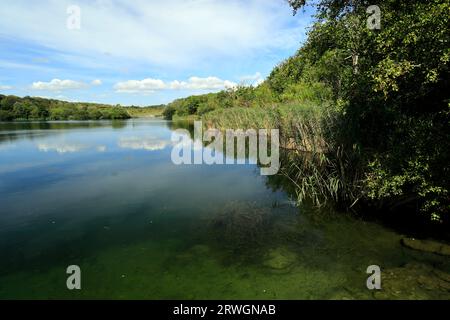 See, Cosmeston Seen und Country Park, Penarth, Vale von Glamorgan, South Wales, UK. Stockfoto