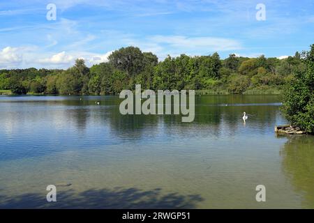 See, Cosmeston Seen und Country Park, Penarth, Vale von Glamorgan, South Wales, UK. Stockfoto