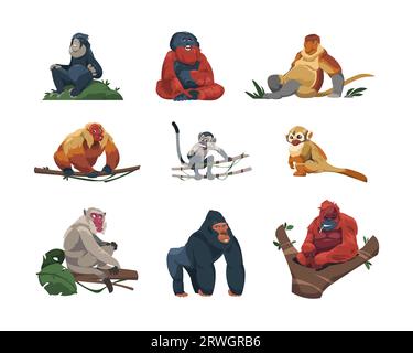 Affenarten. Niedliche tropische Affen im flachen Cartoon-Stil, farbenfrohe lustige Wildtiere, Dschungelprimaten, exotische Tiere im Zoo in verschiedenen Stellungen. Vektor isoliert Stock Vektor