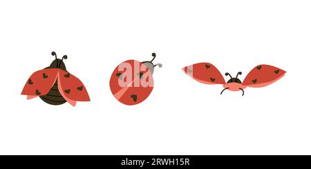 Set von roten Wiedehülgern und Käfern fliegen - Vektor Stock Vektor