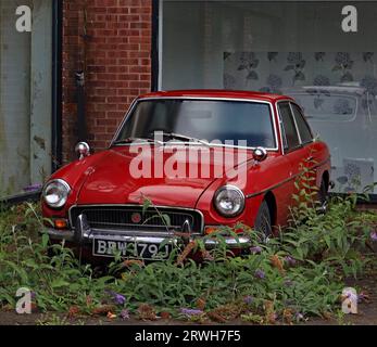 Es ist schon eine Weile da, ein Hard-Top-MG aus 1971 Schlummern inmitten der wilden Buddleia vor einem stillgelegten Showroom in der Küche, Alfreton. Stockfoto