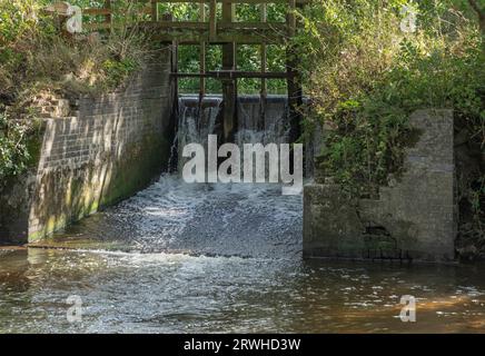 Eine kleine hölzerne Brücke, die eine Perlmutt in den Wäldern mit niedrigem Wasserstand überquert Stockfoto