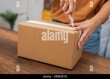 Die Dame verwendet eine Nutzklinge, um ihr Online-Shopping mit einem Paket aus Karton zu enthüllen, das zu Hause geliefert wird Stockfoto