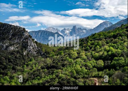 Panoramaaussicht auf Naranjo de Bulnes oder PICU Urriellu, Kalksteingipfel aus der paläozoischen Ära, in der zentralen Region Macizo Picos de Europa, m Stockfoto