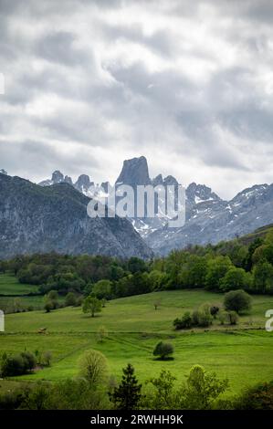 Panoramaaussicht auf Naranjo de Bulnes oder PICU Urriellu, Kalksteingipfel aus der paläozoischen Ära, in der zentralen Region Macizo Picos de Europa, m Stockfoto