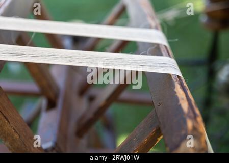 Okoons von weißen Seidenraupen, die zur Seidenproduktion gezüchtet wurden. Rohseide, hochwertige Fotos Stockfoto