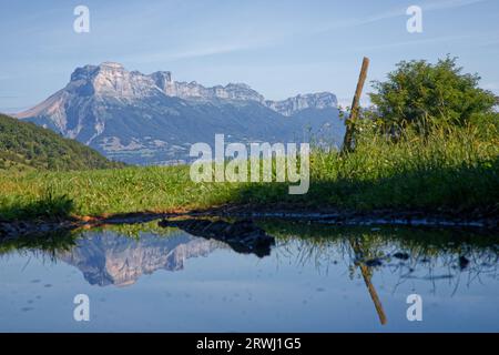 Reflexion des Dent de Crolles-Gipfels in einem kleinen Teich Stockfoto