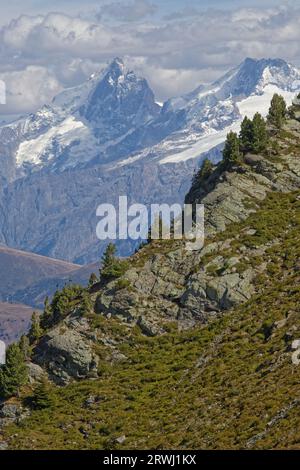 Hohe Gipfel der Oisaner, vom Chamrousse-Gipfel aus gesehen Stockfoto