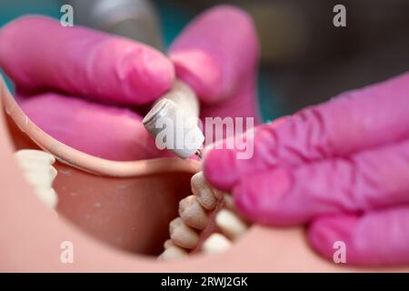 Nahaufnahme von Zahnarzthänden, die lernen, Zähne am menschlichen Kopfpuppen zu behandeln. Hände von Medizinstudierenden in rosafarbenen sterilen Handschuhen in einer Höhle Stockfoto