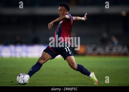Dan Ndoye vom Bologna FC in Aktion während des Fußballspiels der Serie A zwischen Hellas Verona FC und Bologna FC. Stockfoto