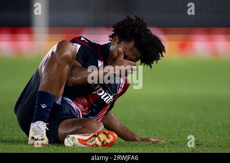 Joshua Zirkzee vom Bologna FC sieht während des Fußballspiels der Serie A zwischen Hellas Verona FC und Bologna FC zurückhaltend aus. Stockfoto