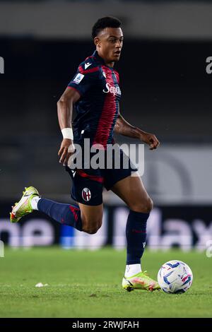 Dan Ndoye vom Bologna FC in Aktion während des Fußballspiels der Serie A zwischen Hellas Verona FC und Bologna FC. Stockfoto