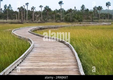 Tolomato River Boardwalk über dem Salzwiesen in Palencia entlang des Intracoastal Waterway bei Sonnenaufgang in St. Augustine, Florida. (USA) Stockfoto