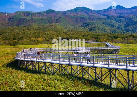 Erhöhter hölzerner Gehweg der Shiretoko Goko Seen Stockfoto