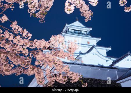 Nächtlicher Blick auf das Schloss Tsurugajo in blühender Kirschblüte Stockfoto