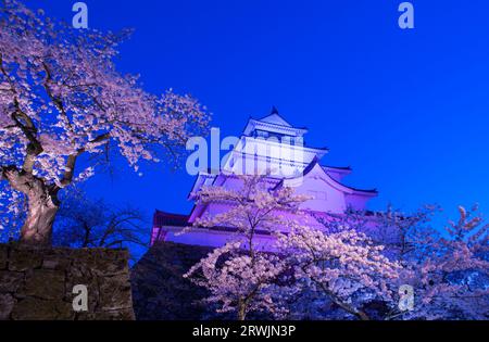 Nächtlicher Blick auf das Schloss Tsurugajo in blühender Kirschblüte Stockfoto