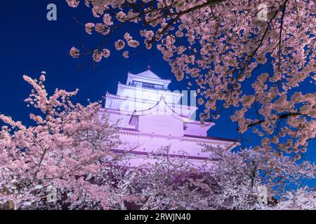 Nächtlicher Blick auf das Schloss Tsurugajo in blühender Kirschblüte Stockfoto