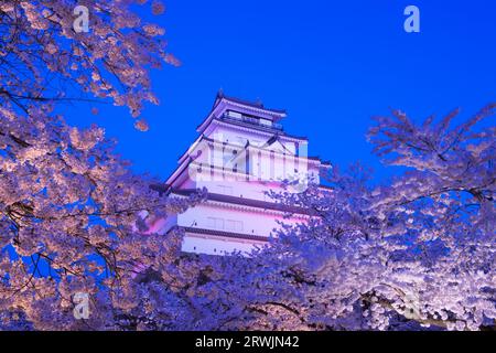 Nächtlicher Blick auf das Schloss Tsurugajo in blühender Kirschblüte Stockfoto