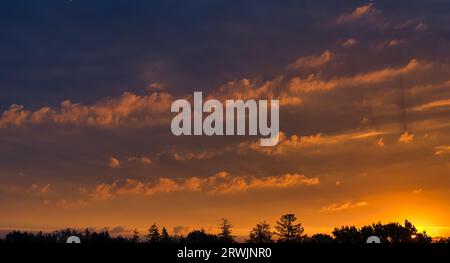 Der atemberaubende Sonnenuntergang mit Wolken ist wunderschön mit Orangentönen bemalt, die die untergehende Sonne reflektieren, Bäume bieten eine kontrastierende Silhoue Stockfoto