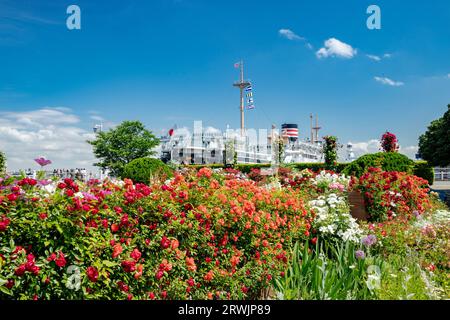 Yamashita Park mit blühenden Rosen Stockfoto