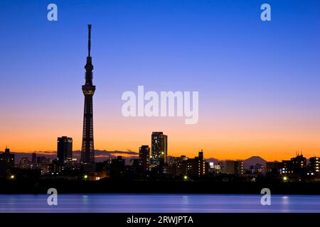 Nachtblick auf den Tokyo Sky Tree und Mt. Fuji Stockfoto