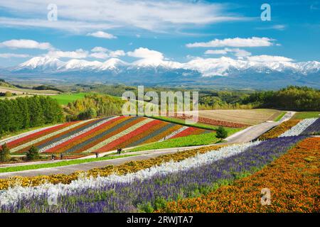 Shikisai no Oka und Tokachidake Mountain Range im Herbst Stockfoto