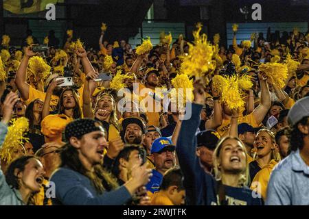 Morgantown, WV, USA. September 2023. 16. September 2023: Fans während der West Virginia University (WVU) vs. Der University of Pittsburgh (Pitt) in Morgantown, WV im Milan Puskar Stadium. Bradley Martin/AMG (Bildnachweis: © AMG/AMG über ZUMA Press Wire) NUR REDAKTIONELLE VERWENDUNG! Nicht für kommerzielle ZWECKE! Stockfoto