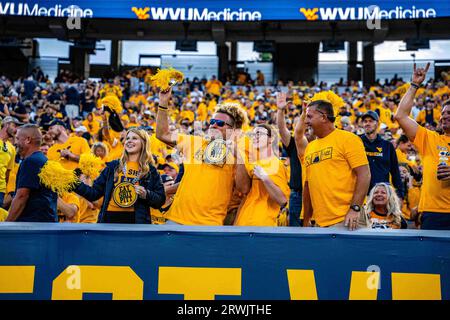 Morgantown, WV, USA. September 2023. 16. September 2023: Fans während der West Virginia University (WVU) vs. Der University of Pittsburgh (Pitt) in Morgantown, WV im Milan Puskar Stadium. Bradley Martin/AMG (Bildnachweis: © AMG/AMG über ZUMA Press Wire) NUR REDAKTIONELLE VERWENDUNG! Nicht für kommerzielle ZWECKE! Stockfoto