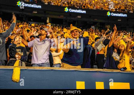 Morgantown, WV, USA. September 2023. 16. September 2023: Fans während der West Virginia University (WVU) vs. Der University of Pittsburgh (Pitt) in Morgantown, WV im Milan Puskar Stadium. Bradley Martin/AMG (Bildnachweis: © AMG/AMG über ZUMA Press Wire) NUR REDAKTIONELLE VERWENDUNG! Nicht für kommerzielle ZWECKE! Stockfoto