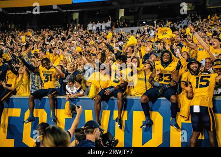 Morgantown, WV, USA. September 2023. 16. September 2023: Fans während der West Virginia University (WVU) vs. Der University of Pittsburgh (Pitt) in Morgantown, WV im Milan Puskar Stadium. Bradley Martin/AMG (Bildnachweis: © AMG/AMG über ZUMA Press Wire) NUR REDAKTIONELLE VERWENDUNG! Nicht für kommerzielle ZWECKE! Stockfoto