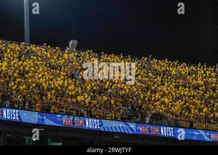 Morgantown, WV, USA. September 2023. 16. September 2023: Fans während der West Virginia University (WVU) vs. Der University of Pittsburgh (Pitt) in Morgantown, WV im Milan Puskar Stadium. Bradley Martin/AMG (Bildnachweis: © AMG/AMG über ZUMA Press Wire) NUR REDAKTIONELLE VERWENDUNG! Nicht für kommerzielle ZWECKE! Stockfoto