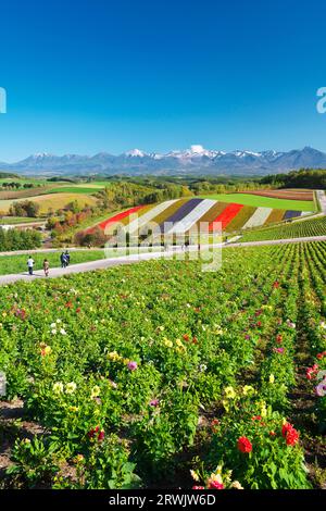 Shikisai no Oka und Tokachidake Mountain Range im Herbst Stockfoto