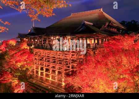 Der Kiyomizu-dera-Tempel ist in Herbstblättern erleuchtet Stockfoto