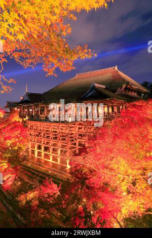 Der Kiyomizu-dera-Tempel ist in Herbstblättern erleuchtet Stockfoto