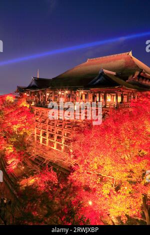 Der Kiyomizu-dera-Tempel ist in Herbstblättern erleuchtet Stockfoto